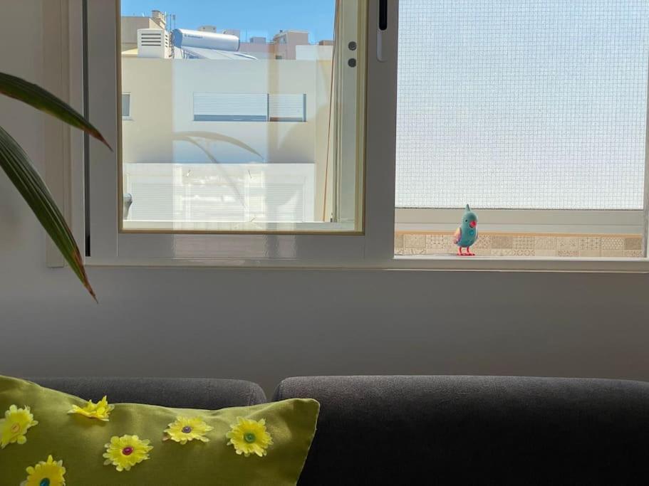 Ferienwohnung Superstar Terrace Distrikt Distrikt Faro Exterior foto