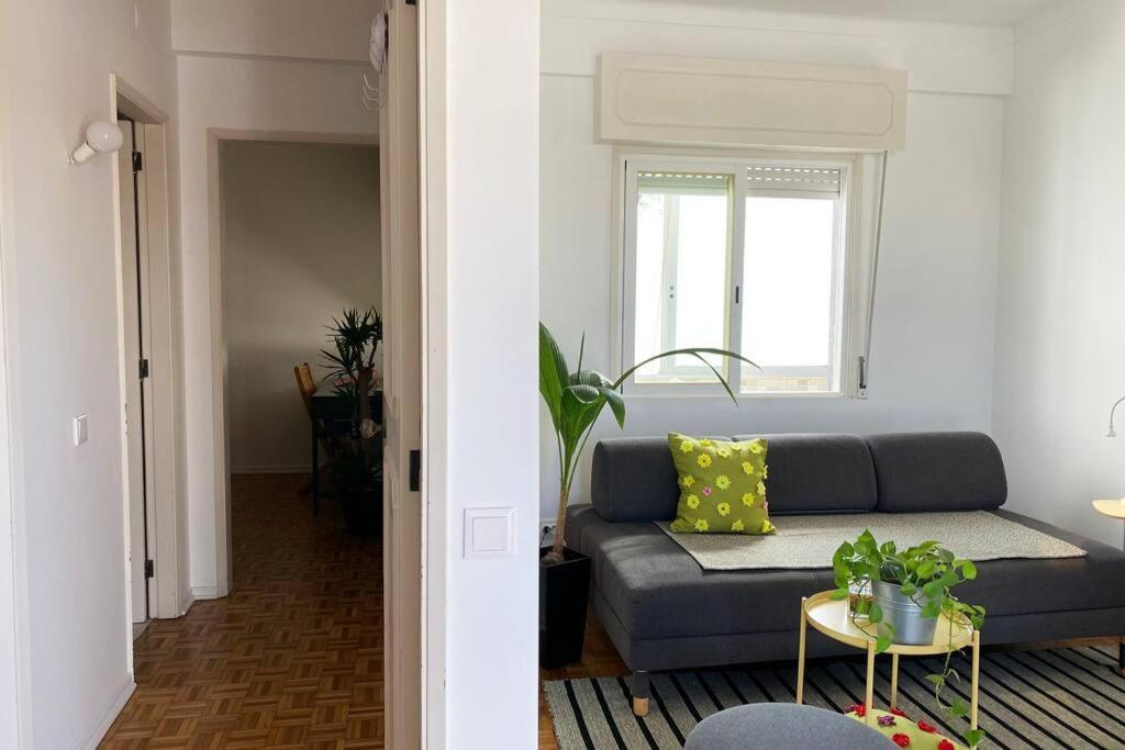 Ferienwohnung Superstar Terrace Distrikt Distrikt Faro Exterior foto